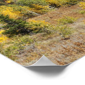 Bridger-Teton-Nationalwald Poster (Ecke)