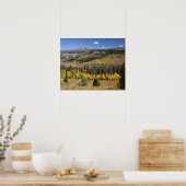 Bridger-Teton-Nationalwald Poster (Küche)