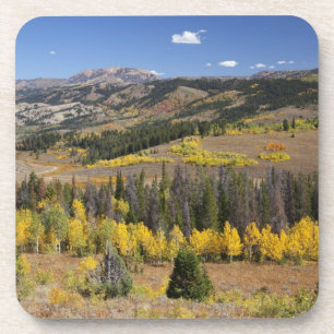 Bridger-Teton-Nationalwald Untersetzer