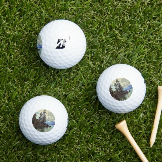 Bridgestone e6 Golf Balls Golfball (Insitu Gras)
