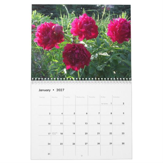 Bridgewater arbeitet Pfingstrosen 2015 Kalender (Jan 2027)