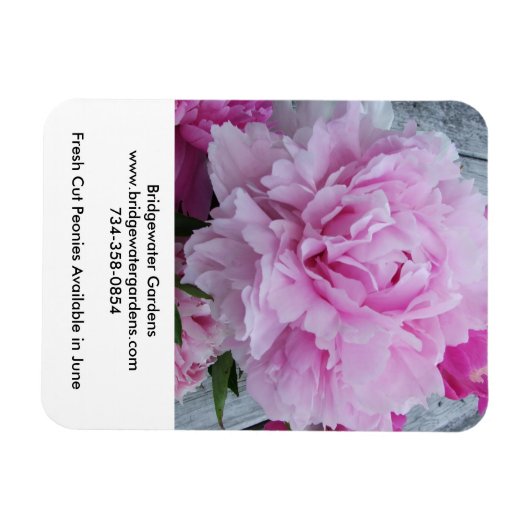 Bridgewater Gardens Magnet (Horizontal)