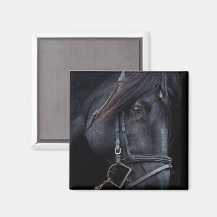Bridled Black Stallion Face Magnet