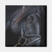 Bridled Black Stallion Face Magnet (Vorne)