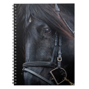 Bridled Black Stallion Face Notizblock