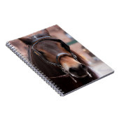 Bridled Notizblock (Rechte Seite)