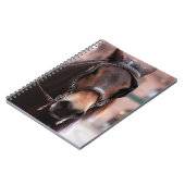 Bridled Notizblock (Linke Seite)