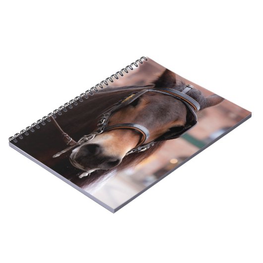 Bridled Notizblock (Linke Seite)