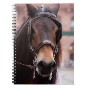 Bridled Notizblock