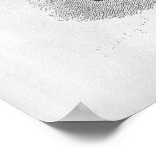 Brid'oison Poster (Ecke)