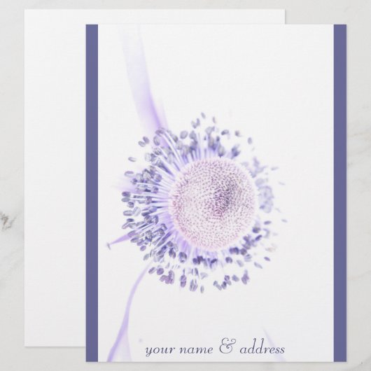 briefbogen (Vorne/Hinten)