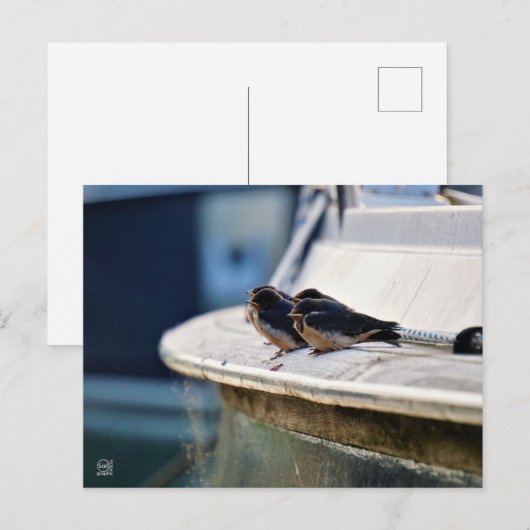 Briefkaart Postkarte (Vorne/Hinten)