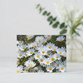 Briefkaart "veld vol madeliefjes" postkarte (Stehend Vorderseite)