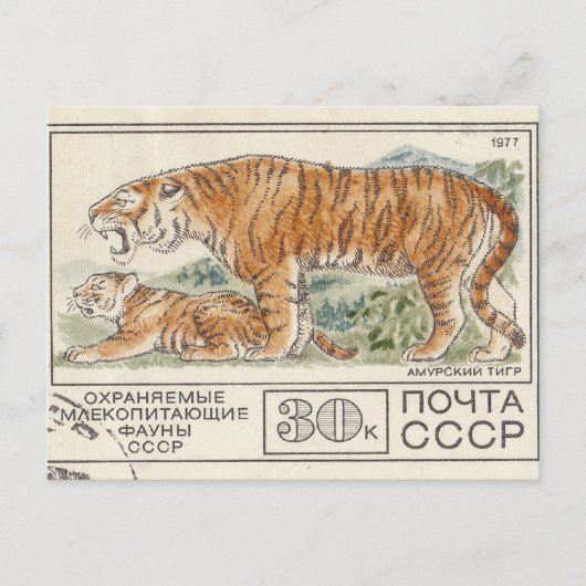 Briefmarke amur postkarte (Vorderseite)