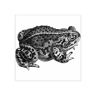 Briefmarke aus Frosch Gummistempel