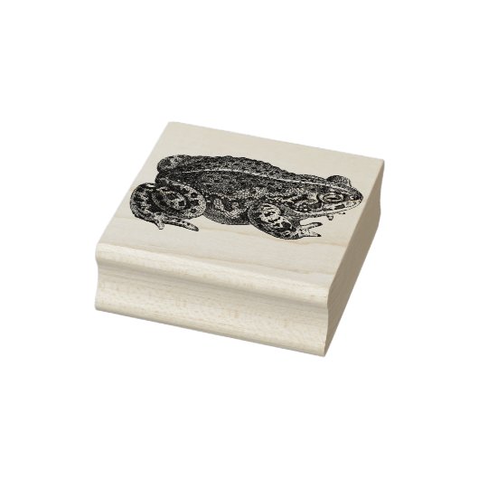 Briefmarke aus Frosch Gummistempel (Stempel)