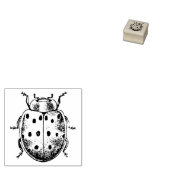 Briefmarke aus Kautschuk mit Vintagem Ladybug Gummistempel (Stempel)