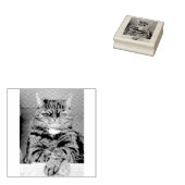 Briefmarke aus Pet-Picture-Gummi Gummistempel (Stempel)