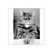 Briefmarke aus Pet-Picture-Gummi Gummistempel (Prägung)