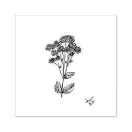 Briefmarke, botanische Kunst, Pflanze des Sediment Gummistempel