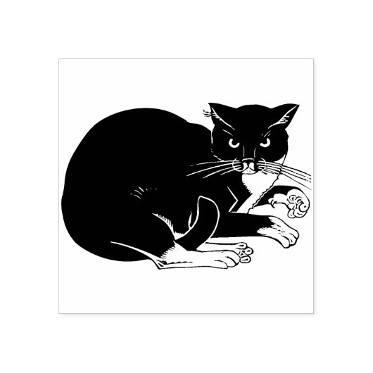Briefmarke der Tuxedo-Katzenkatze Gummistempel (Prägung)