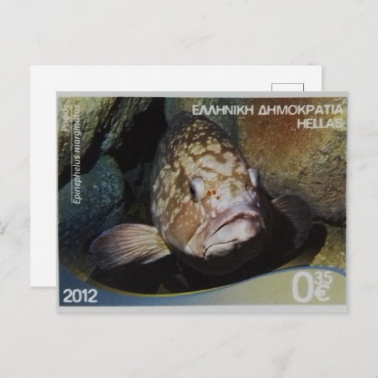 Briefmarke Dusky Grouper Postkarte (Vorne/Hinten)