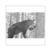 Briefmarke Gummistempel (Prägung)