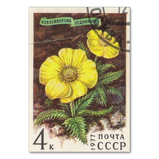 Briefmarke Novosiversiya Glacer Tischnummer (Vorderseite)