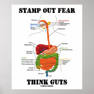 Briefmarke-Out-Angst Think-Pads (Digestive System  Poster