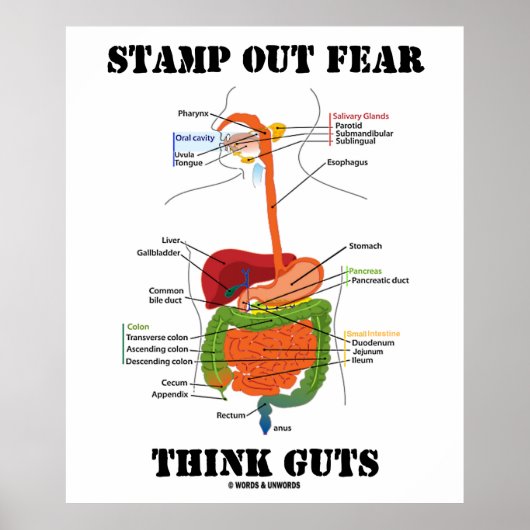 Briefmarke-Out-Angst Think-Pads (Digestive System  Poster (Vorne)