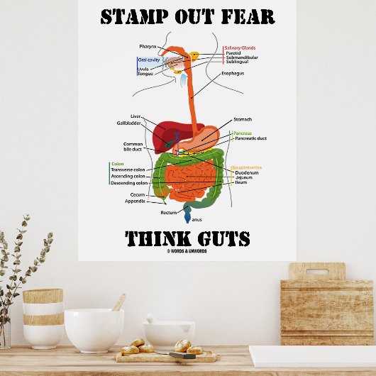 Briefmarke-Out-Angst Think-Pads (Digestive System  Poster (Küche)