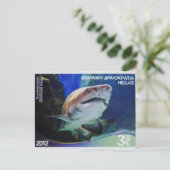 Briefmarke Sand Tigerhai Postkarte (Stehend Vorderseite)