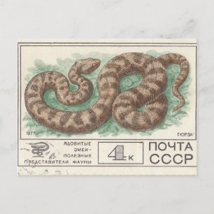 Briefmarke Viper Postkarte
