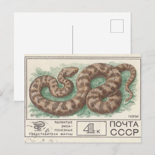 Briefmarke Viper Postkarte (Vorne/Hinten)