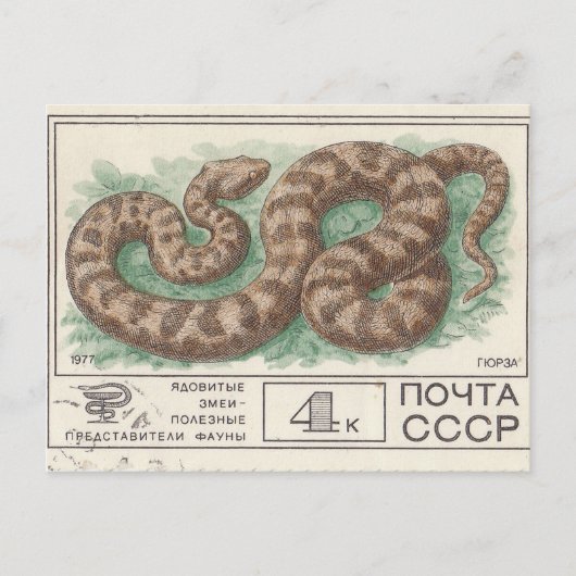 Briefmarke Viper Postkarte (Vorderseite)