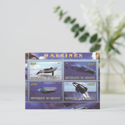 Briefmarke Wale Delphine Postkarte (Stehend Vorderseite)