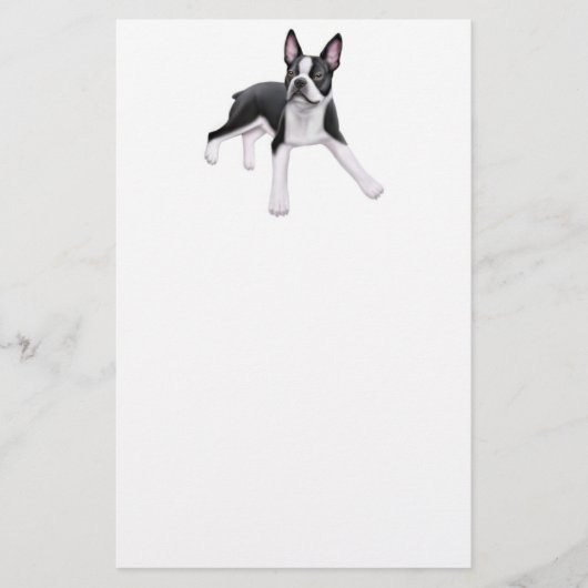 Briefpapier Bostons Terrier (Vorderseite)