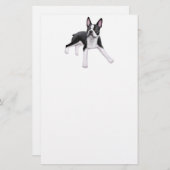 Briefpapier Bostons Terrier (Vorne/Hinten)