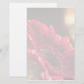 Briefpapier der Blumen-I (Vorne/Hinten)