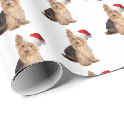 Briefpapier zum Briefumschlag Geschenkpapier (Rolleneckpunkt)