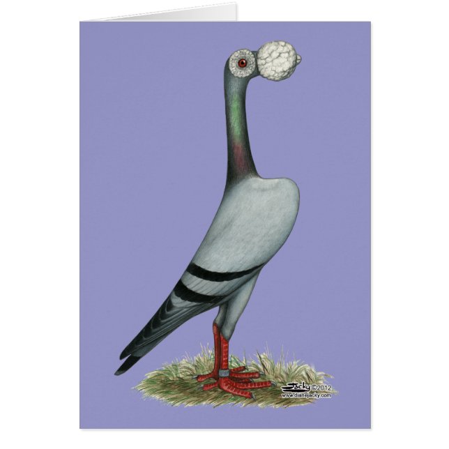 Brieftaube 2012 (Vorne)