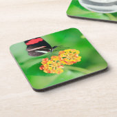 Briefträger rosina Schmetterling, der Nektar von Getränkeuntersetzer (Linke Seite)