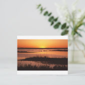 Brigantine NWR at Sunset.jpg Postkarte (Stehend Vorderseite)