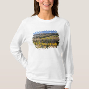 Brigger-Teton-Nationalwald T-Shirt