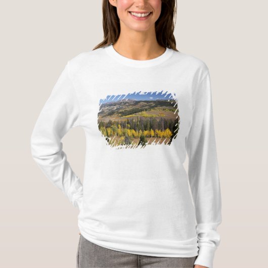 Brigger-Teton-Nationalwald T-Shirt (Vorderseite)