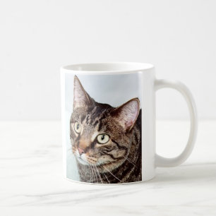 Briggs-Katzen-Tasse Kaffeetasse