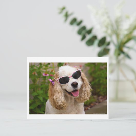 Brighed Your Day Postcard - Cocker Spaniel Postkarte (Stehend Vorderseite)