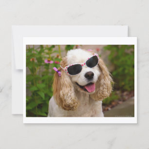 Brighed Your Day Postcard - Cocker Spaniel Postkarte