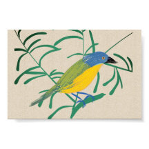 Bright African Bird Bush Shrike auf Linen Leinwand