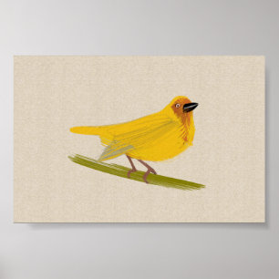 Bright African Bird Weaver Poster